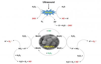The Reaction Mechanism