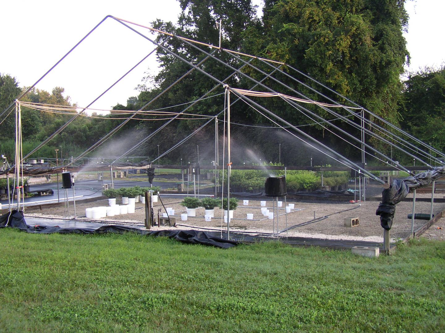 How Container-grown Plants Capture Sprinkler Irrigation Water