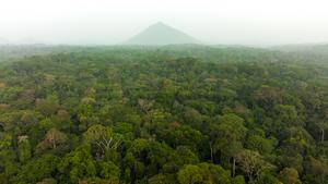 Aerial view of Cross River National Park