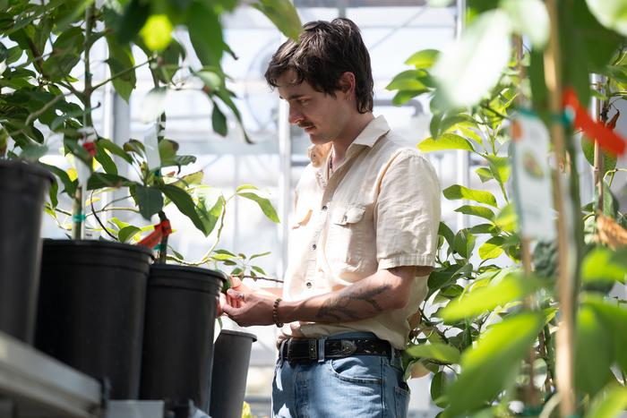 Jeffrey Groh in greenhouse