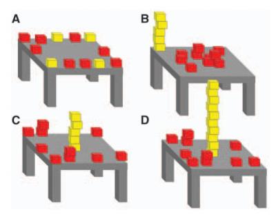 Babies Can Make "Common Sense" Predictions In New Situations (7 of 7)