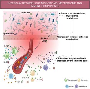 Dynamics between the gut microbiome, metabolome, and immunological components in IBD (created using BioRender)