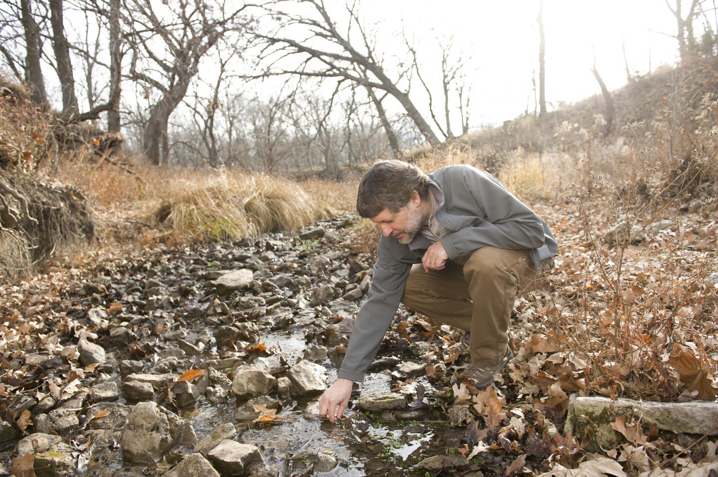 Walter Dodds, Kansas State University Distinguished Professor of Biology