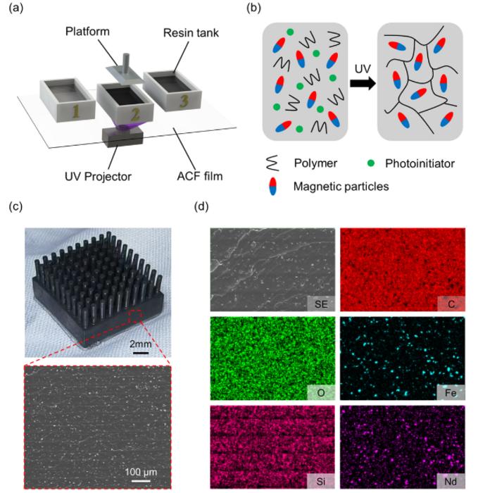 Schematic illustration and SEM images of the multi-material one-step printing process and the printed samples.