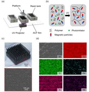 Schematic illustration and SEM images of the multi-material one-step printing process and the printed samples.