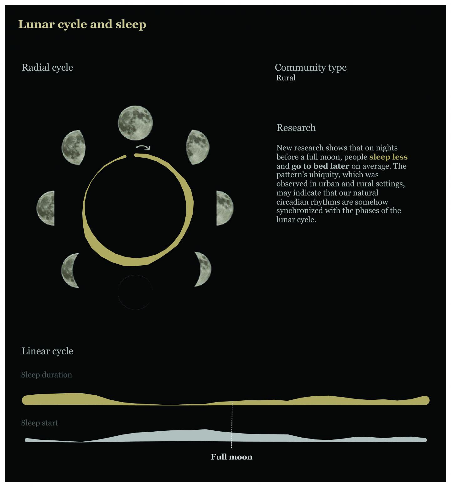Infographic still