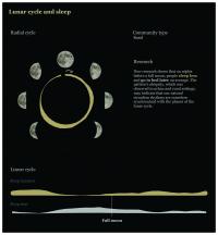 Infographic still