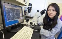 Saori Furuta,   	 DOE/Lawrence Berkeley National Laboratory 