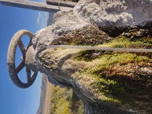 Water well