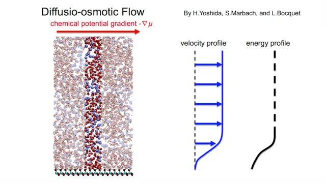 Non-Equilibrium Molecular Dynamics Simulation of Diffusio-Osmotic Flow
