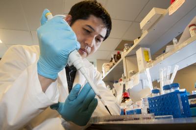Research into Brain Tumours at Plymouth University Peninsula Schools of Medicine and Dentistry
