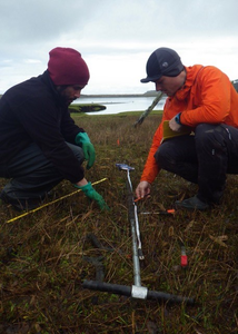 Sediment core