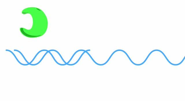 Mutation Timer Built into DNA