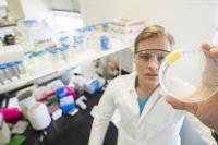 Researchers, University of Kansas