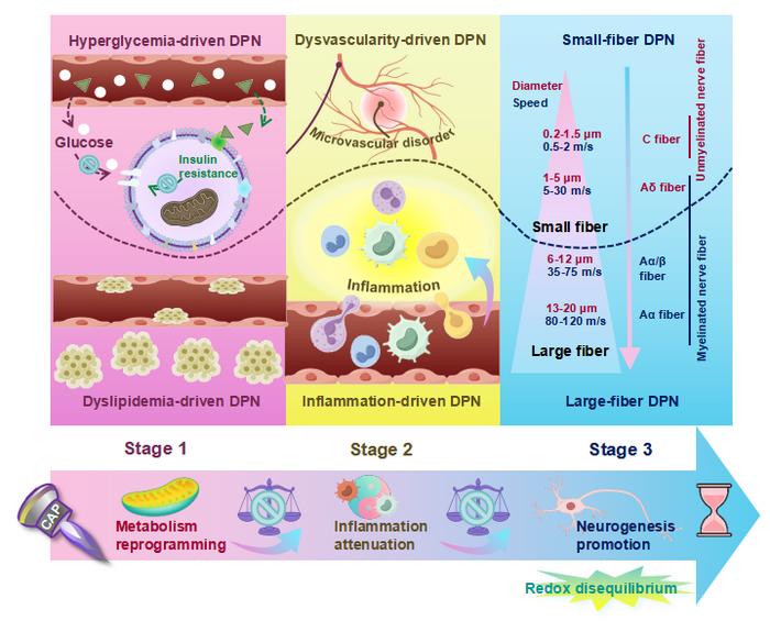 Integrated Three-Stage and Six-Subtype Framework of Diabetic Peripheral Neuropathy