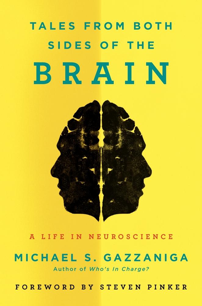 Tales From Both Sides of the Brain