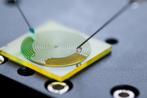 Liquid transport on the Araucaria leaf-inspired surface