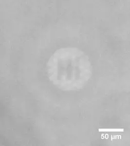 Liquid crystal demonstration