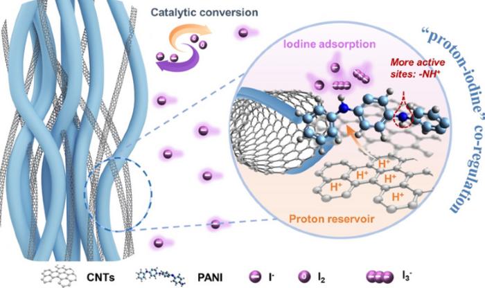 “Proton‑Iodine” Regulation of Protonated Polyaniline Catalyst for High‑Performance Electrolytic Zn‑I2 Batteries
