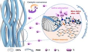 “Proton‑Iodine” Regulation of Protonated Polyaniline Catalyst for High‑Performance Electrolytic Zn‑I2 Batteries