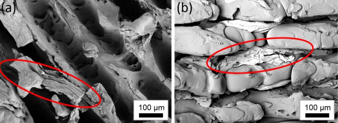 SEM Images of Aluminum