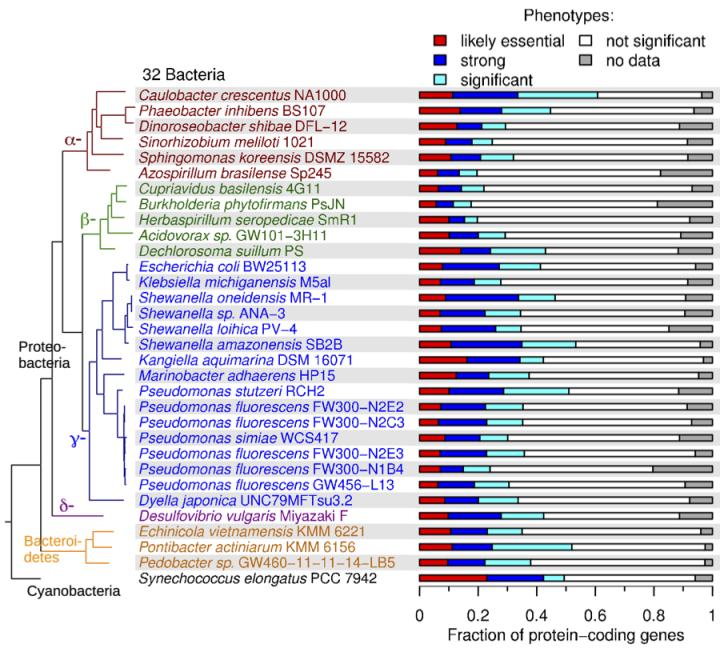 Gene Function Prediction