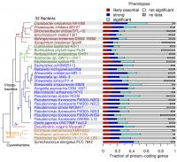 Gene Function Prediction