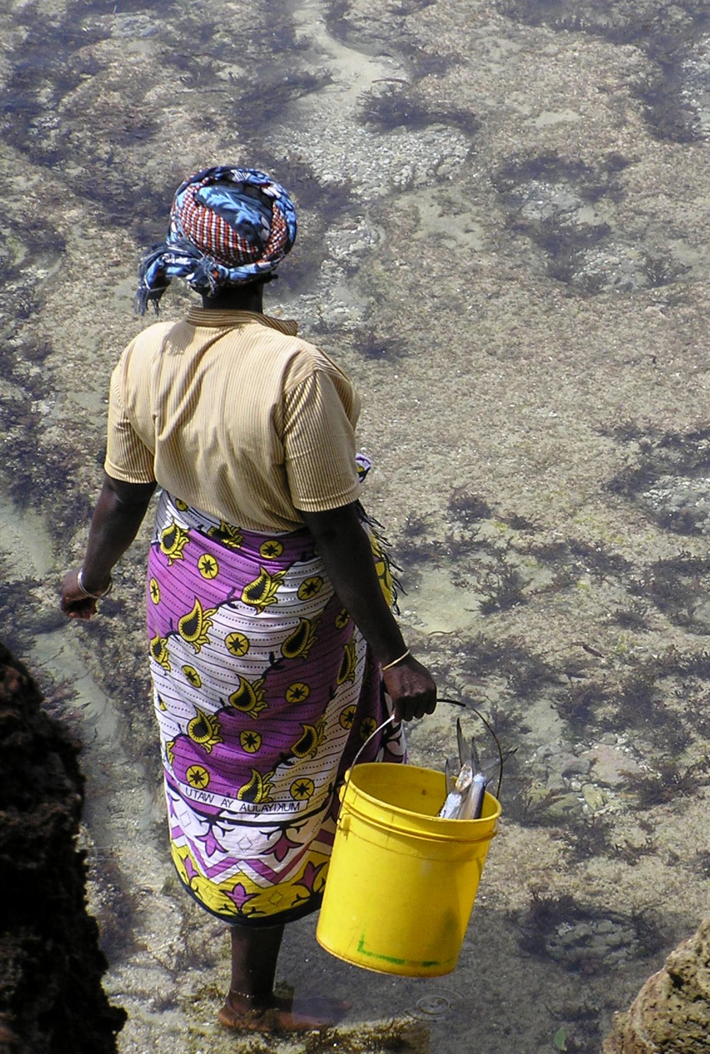 Fish Trader, Kenya