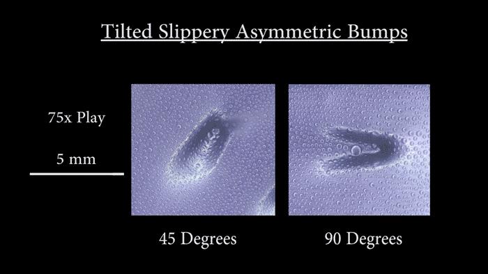 Asymmetric Topography of Bumps
