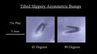Asymmetric Topography of Bumps