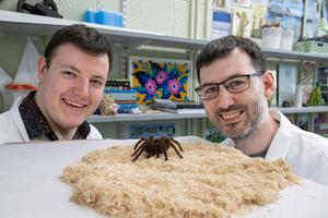 Dr Keith Lyons and Dr Kevin Healy, School of Natural Sciences, University of Galway