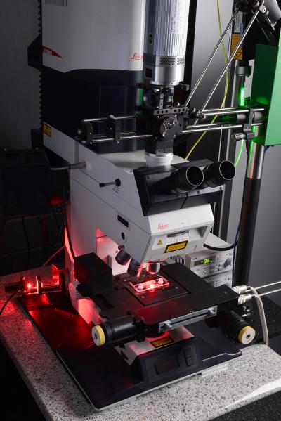 Faster Testing of New Pharmaceuticals