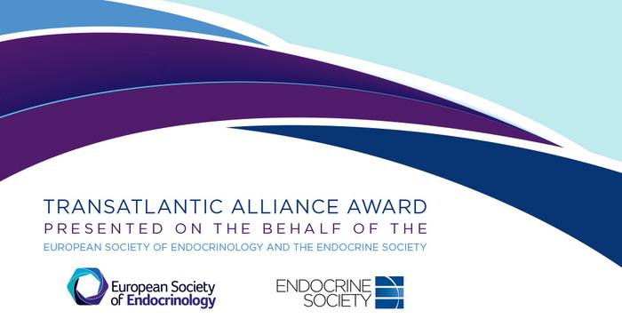 Transatlantic Alliance Award logo