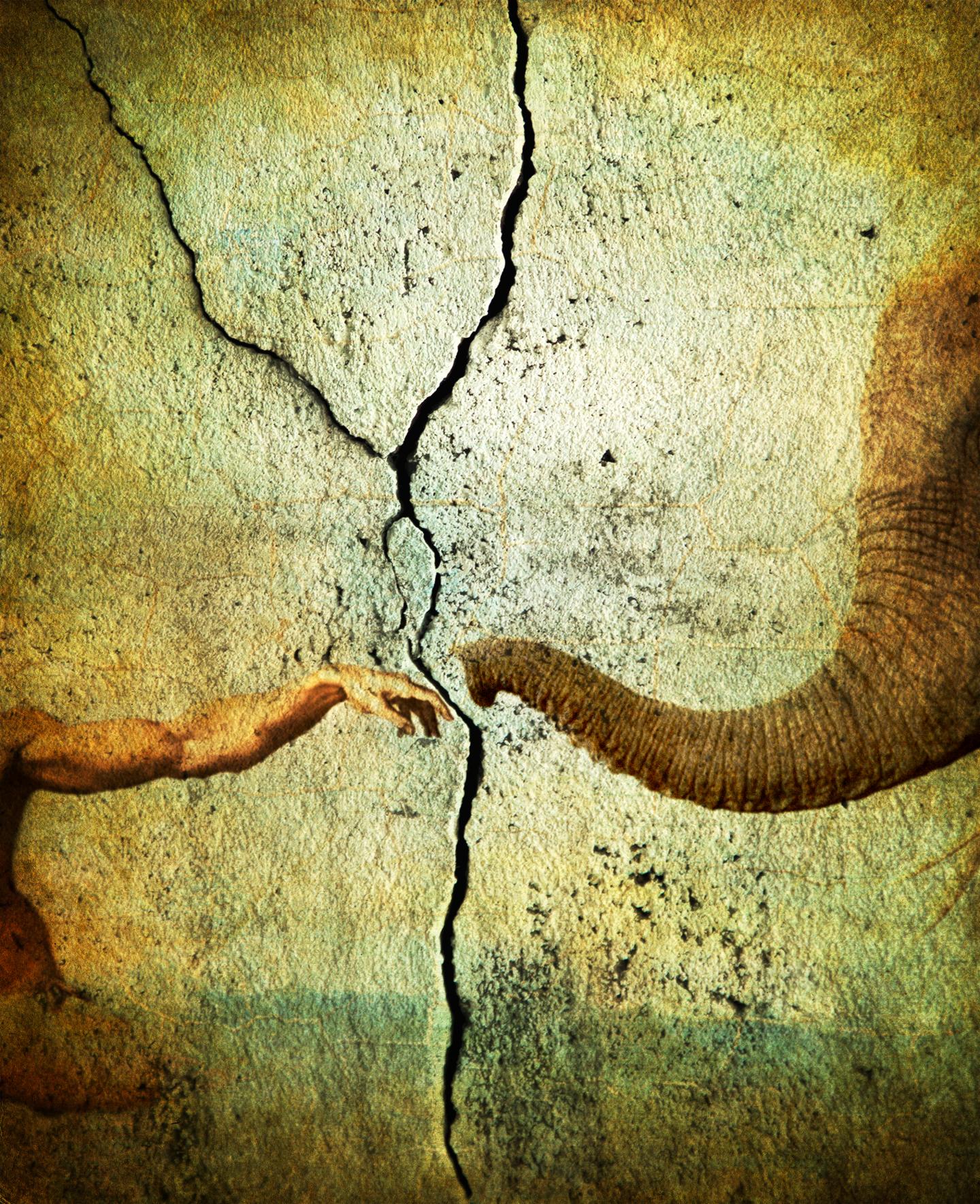 Animal Genome and Disease