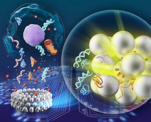 MetaRing Quickly Identifies Breast Cancer Drug Sensitivity