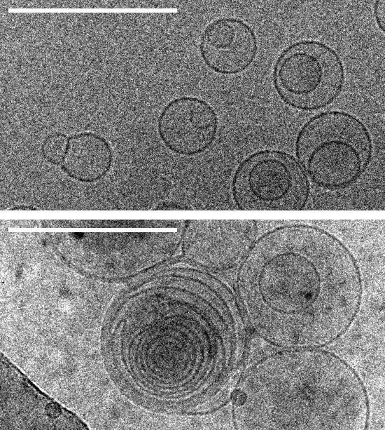 Membranes 02
