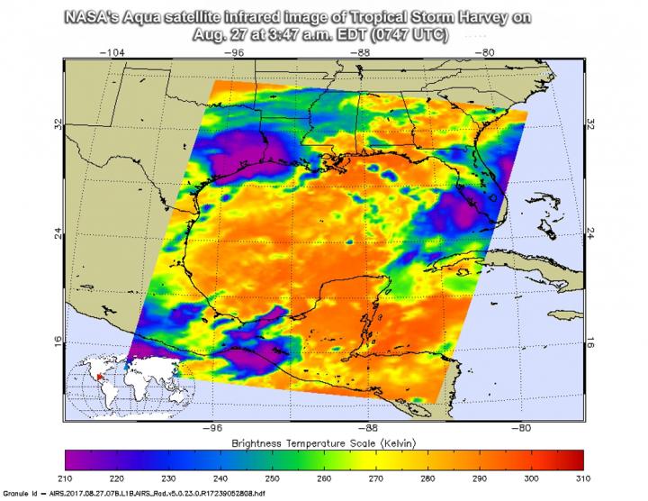 Aqua Image of Harvey