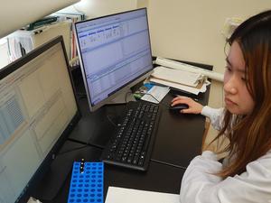 Researcher reviews data generated by the new tannin-characterization method