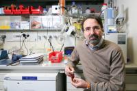 Francesco Stellacci, Ecole Polytechnique Fédérale de Lausanne