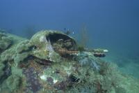 Gun Turret