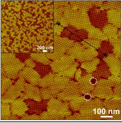Self-Assembling Protein Folding
