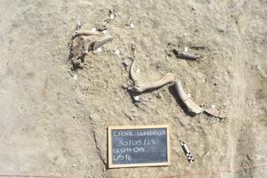 From meat to raw material: the Middle Pleistocene elephant butchery site of Casal Lumbroso (Rome, central Italy)