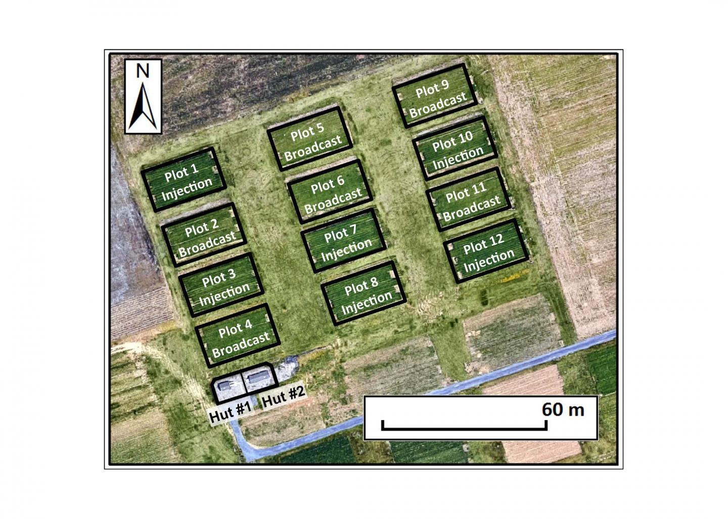 Experimental Plots