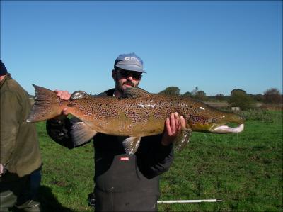 William Beaumont, Game and Wildlife Conservation Trust 