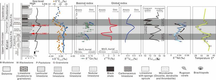 Isotope records reveal repeated shallow-water deoxygenation during the Late Ordovician extinction