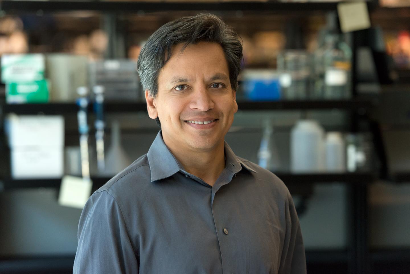 Deepak Srivastava, MD - Director, Gladstone Institute of Cardiovascular Disease