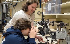 Students working on sensors