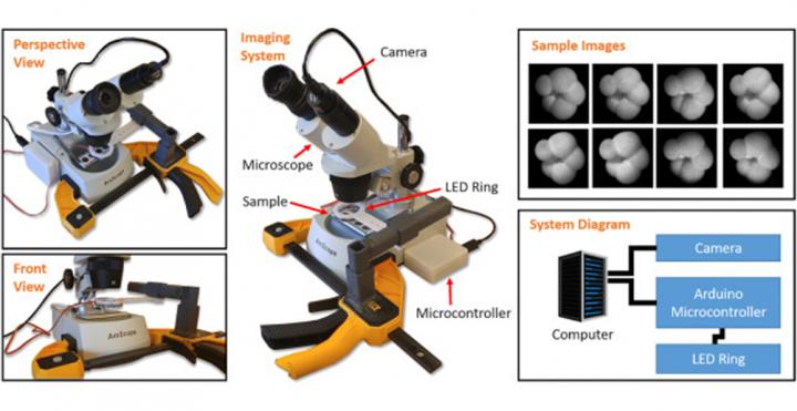 How Artificial Intelligence Identifies Marine Microorganisms