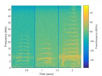 Vocalizations