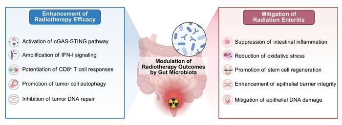 Modulation of Radiotherapy outcomes by gut microbiota